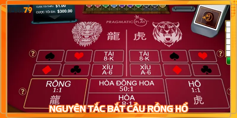 Áp dụng kinh nghiệm bắt cầu rồng hổ luôn thắng