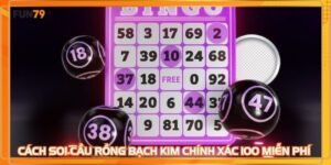 Phân tích cách soi cầu rồng bạch kim chính xác 100 miễn phí